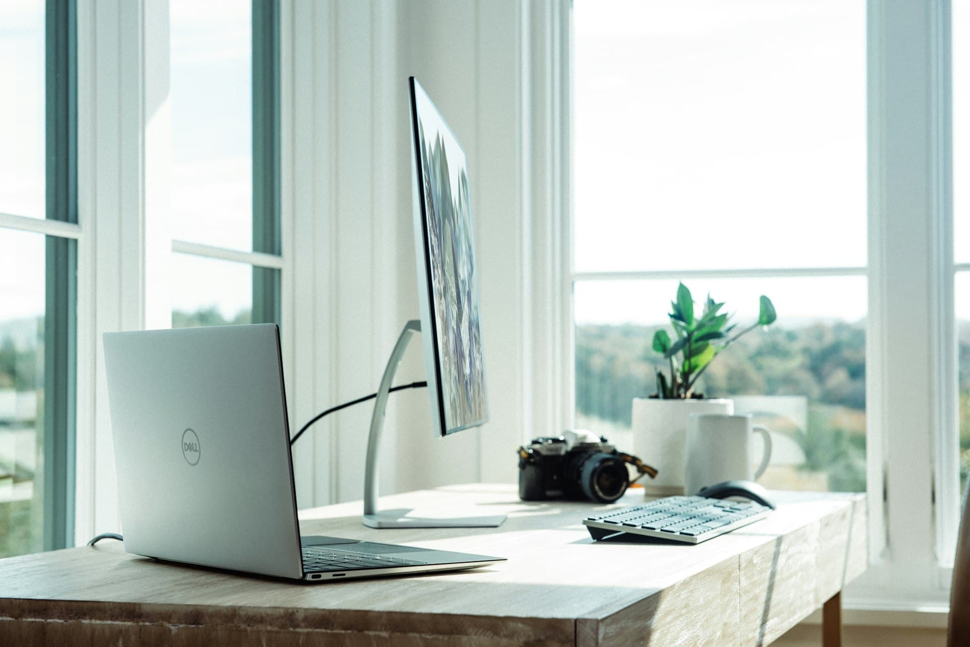 Software development workspace